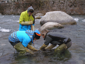 Schüler der 2AEL bei der Wasseruntersuchung